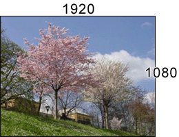 1080P